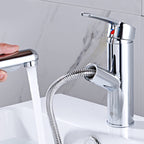 FlexiFlow Faucet